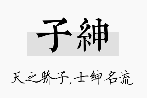 子绅名字的寓意及含义