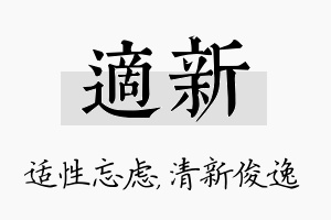 适新名字的寓意及含义