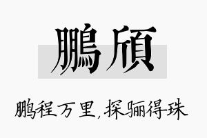 鹏颀名字的寓意及含义