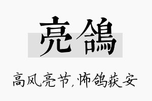 亮鸽名字的寓意及含义