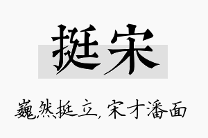 挺宋名字的寓意及含义