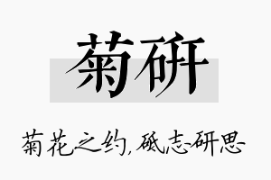 菊研名字的寓意及含义