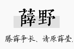 薛野名字的寓意及含义