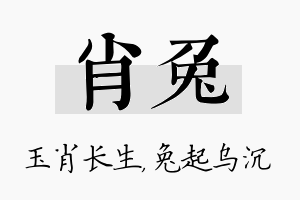 肖兔名字的寓意及含义