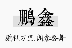 鹏鑫名字的寓意及含义