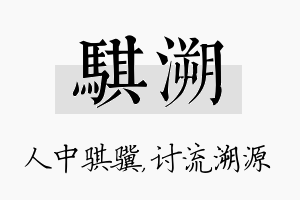 骐溯名字的寓意及含义