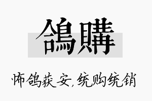 鸽购名字的寓意及含义