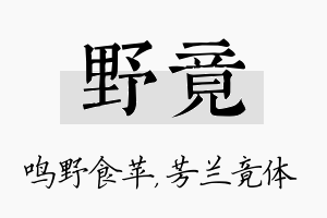 野竟名字的寓意及含义