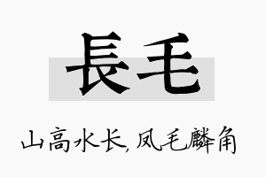 长毛名字的寓意及含义