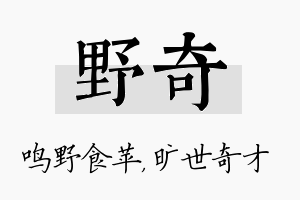 野奇名字的寓意及含义