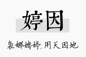 婷因名字的寓意及含义