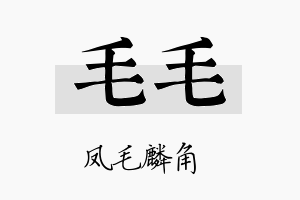 毛毛名字的寓意及含义