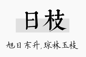 日枝名字的寓意及含义