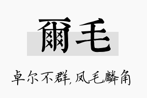 尔毛名字的寓意及含义