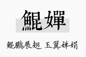 鲲婵名字的寓意及含义