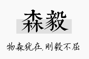 森毅名字的寓意及含义