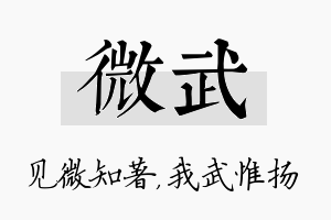 微武名字的寓意及含义