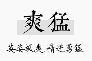 爽猛名字的寓意及含义