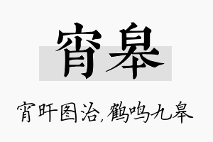 宵皋名字的寓意及含义