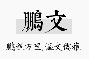 鹏文名字的寓意及含义