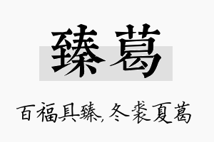 臻葛名字的寓意及含义