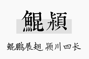 鲲颍名字的寓意及含义