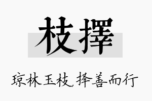 枝择名字的寓意及含义