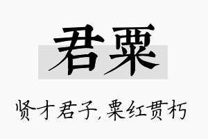 君粟名字的寓意及含义