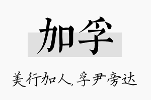 加孚名字的寓意及含义