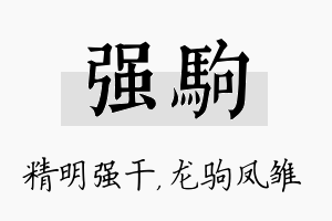 强驹名字的寓意及含义