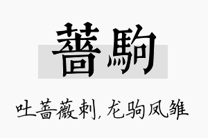 蔷驹名字的寓意及含义