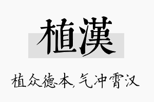 植汉名字的寓意及含义