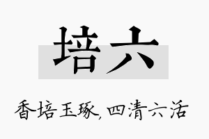 培六名字的寓意及含义