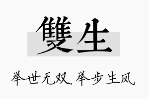 双生名字的寓意及含义