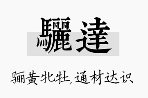 骊达名字的寓意及含义