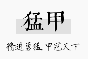 猛甲名字的寓意及含义