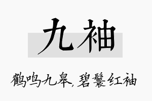 九袖名字的寓意及含义