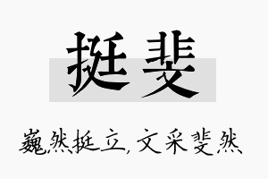 挺斐名字的寓意及含义