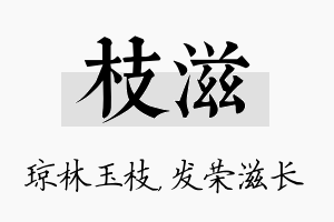 枝滋名字的寓意及含义