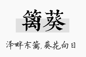 篱葵名字的寓意及含义