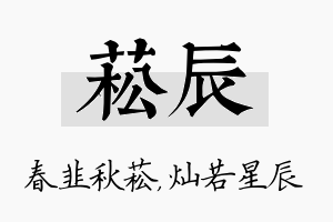 菘辰名字的寓意及含义