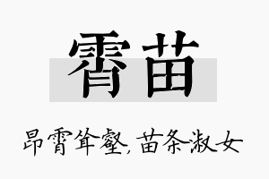 霄苗名字的寓意及含义