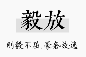 毅放名字的寓意及含义