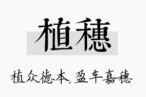 植穗名字的寓意及含义