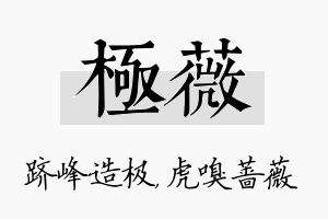 极薇名字的寓意及含义