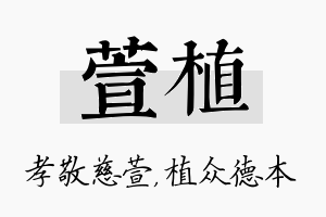 萱植名字的寓意及含义