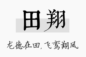 田翔名字的寓意及含义