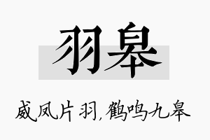 羽皋名字的寓意及含义