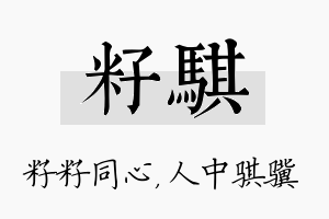 籽骐名字的寓意及含义