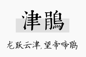 津鹃名字的寓意及含义